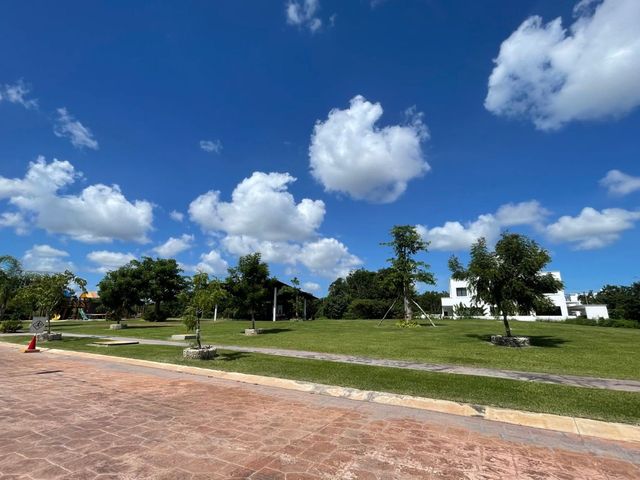 place photo 39