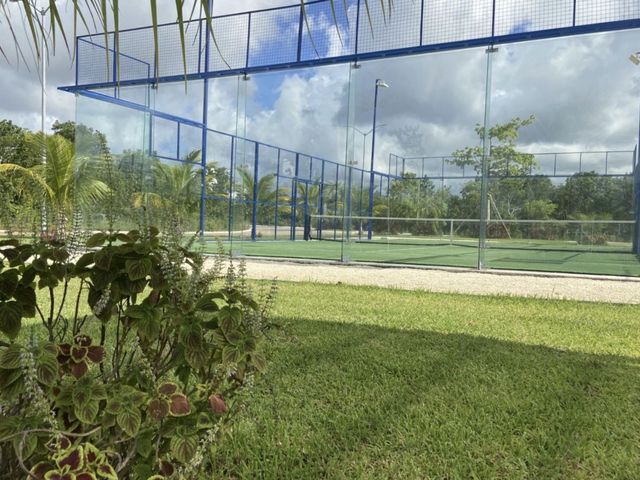 place photo 27