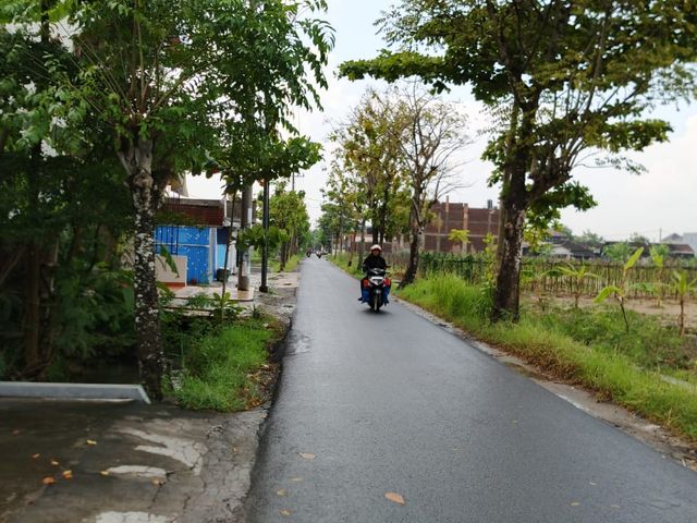 place photo 10