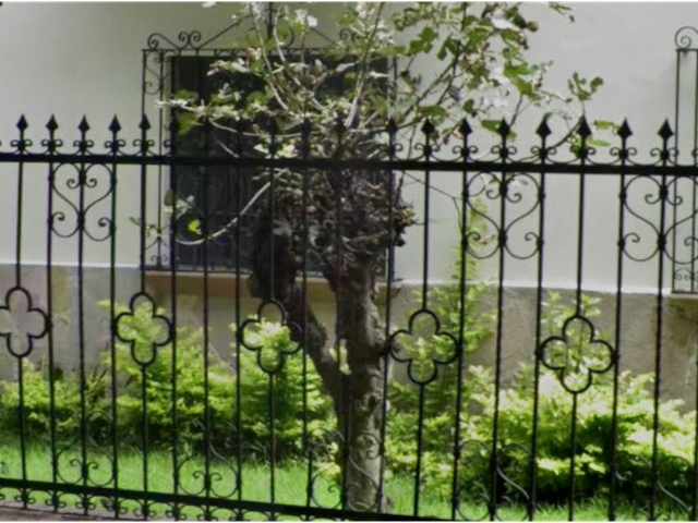 place photo 31