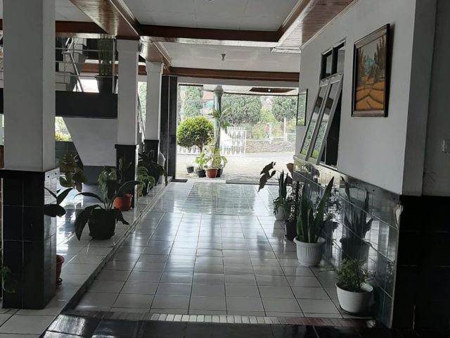 place photo 14
