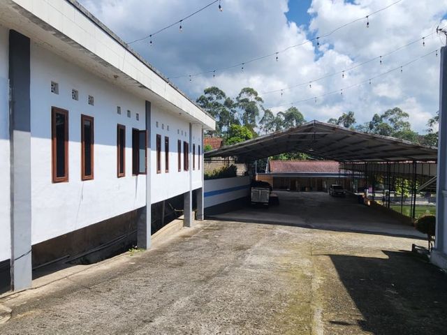 place photo 30