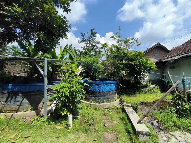 place photo 12