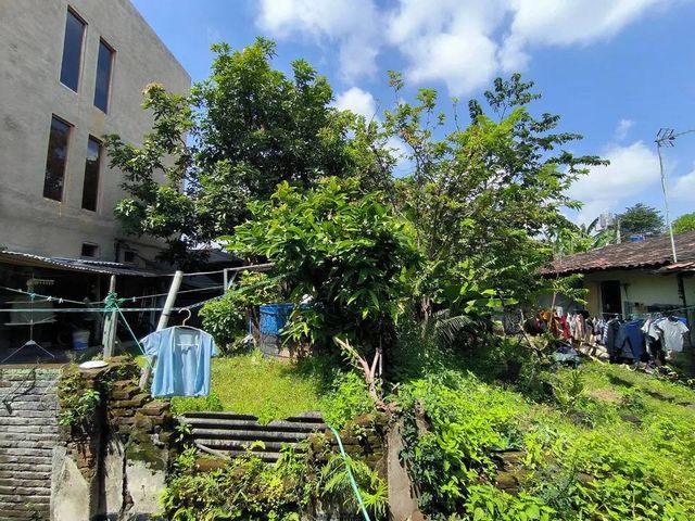 place photo 13