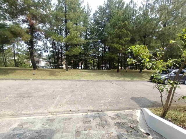 place photo 29