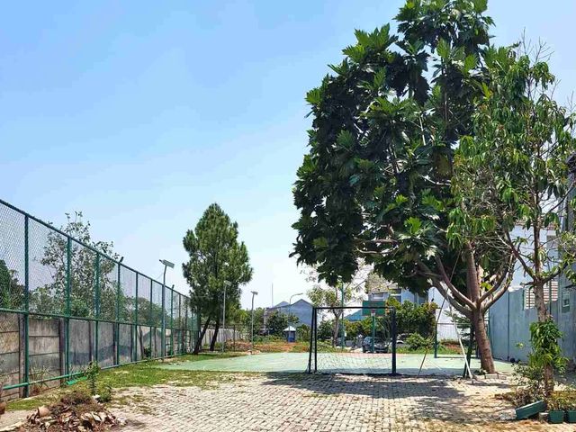 place photo 8