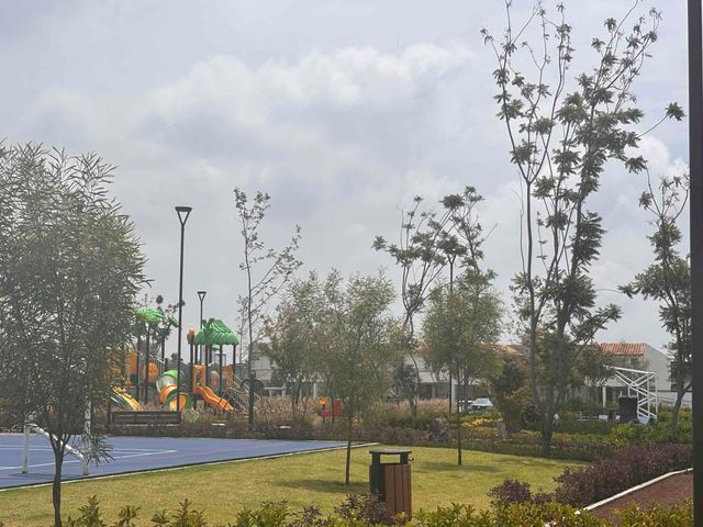 place photo 27