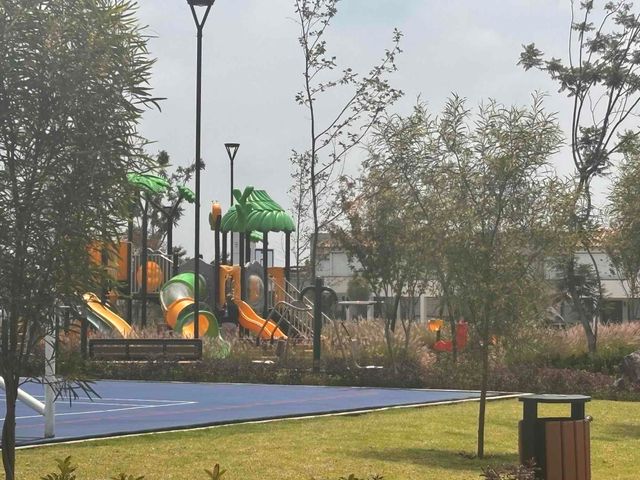place photo 28