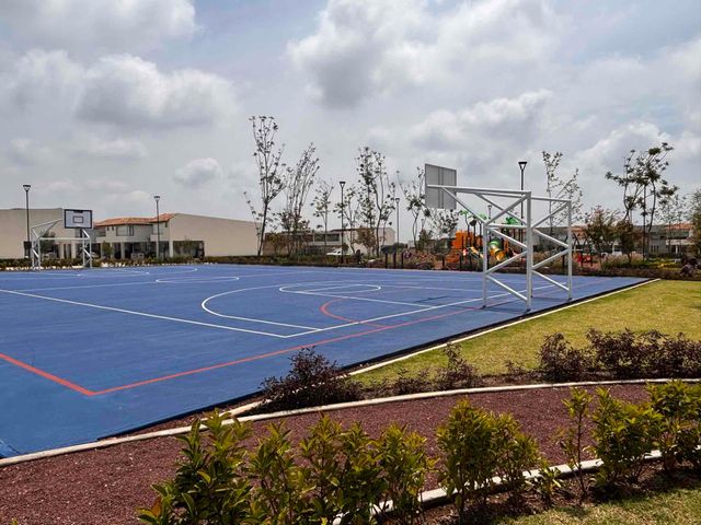 place photo 29