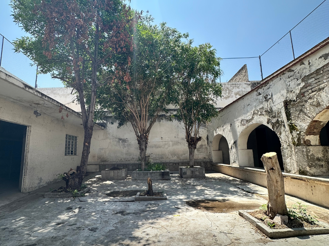 place photo 17