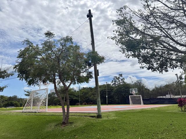 place photo 27