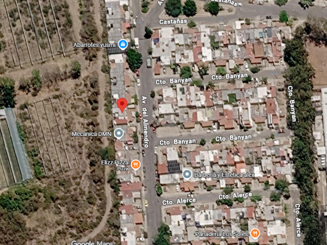 place photo 15