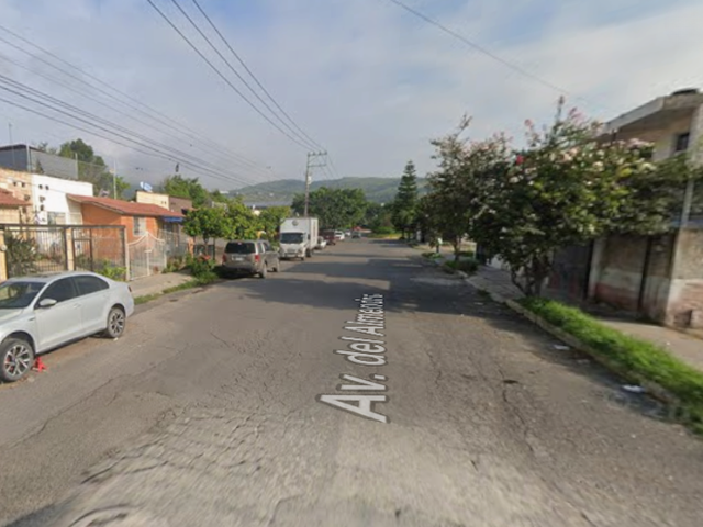 place photo 14