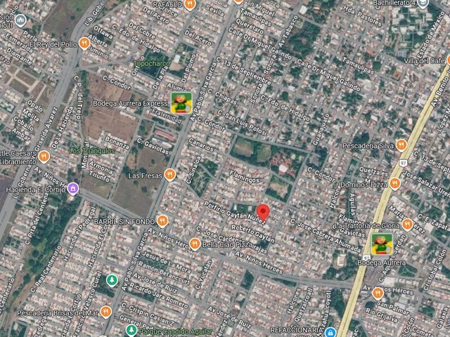 place photo 7
