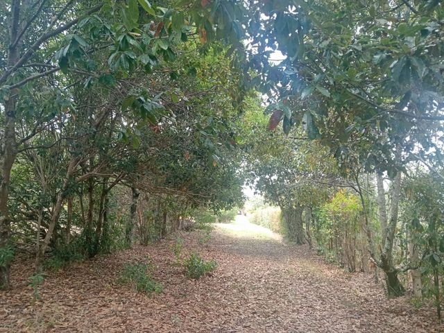 place photo 40
