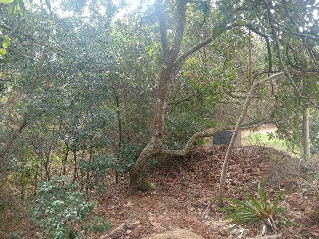 place photo 41