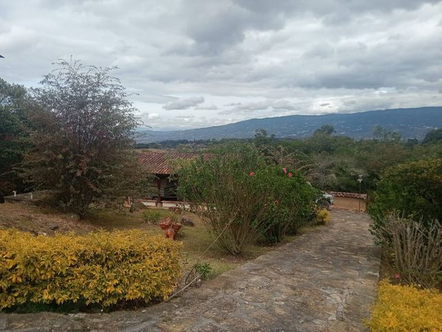 place photo 33