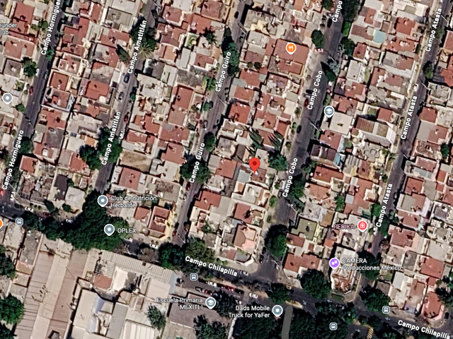 place photo 11