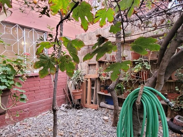 place photo 46