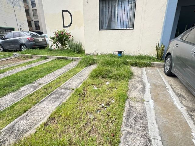place photo 15