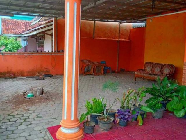 place photo 4