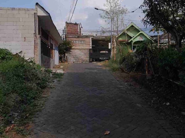 place photo 14