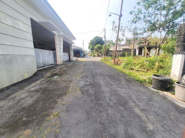 place photo 12