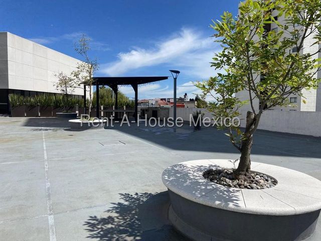 place photo 39