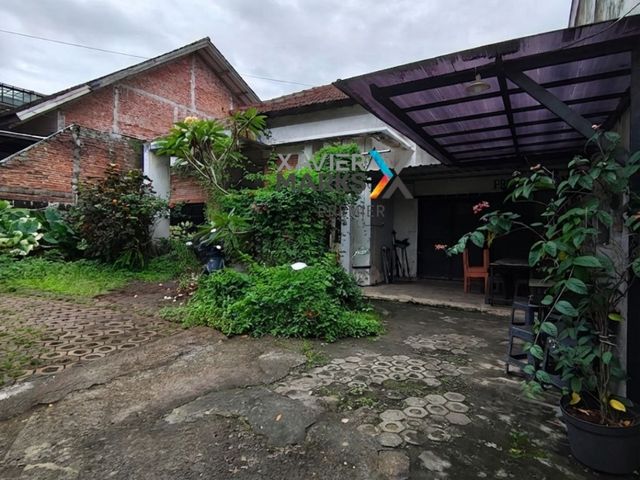 place photo 16