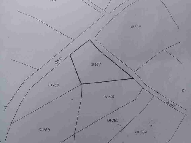 place photo 9