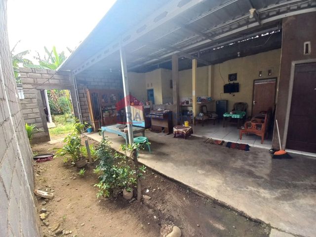 place photo 17
