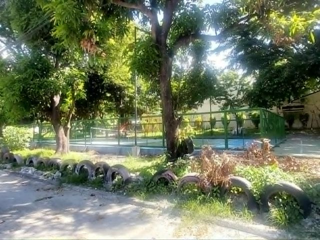 place photo 11