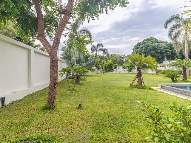 place photo 45