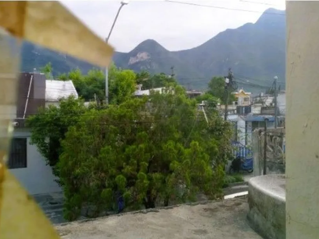 place photo 30