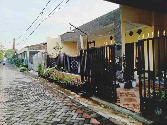 place photo 8