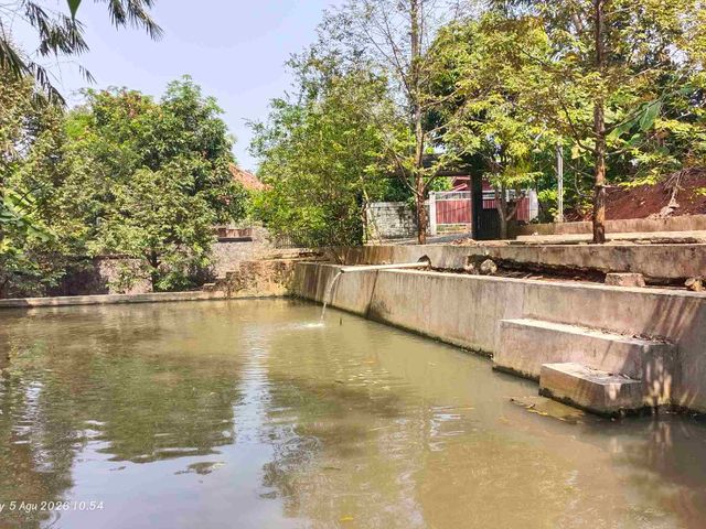 place photo 12