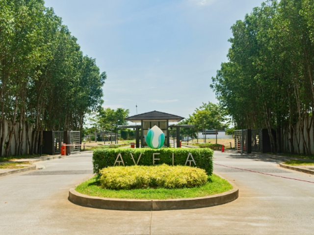 place photo 3