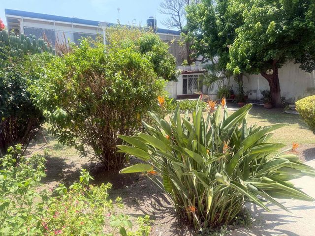 place photo 29
