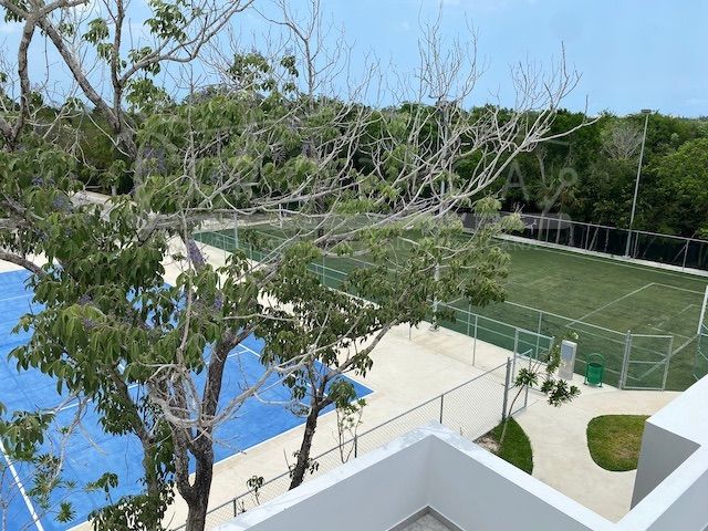 place photo 36
