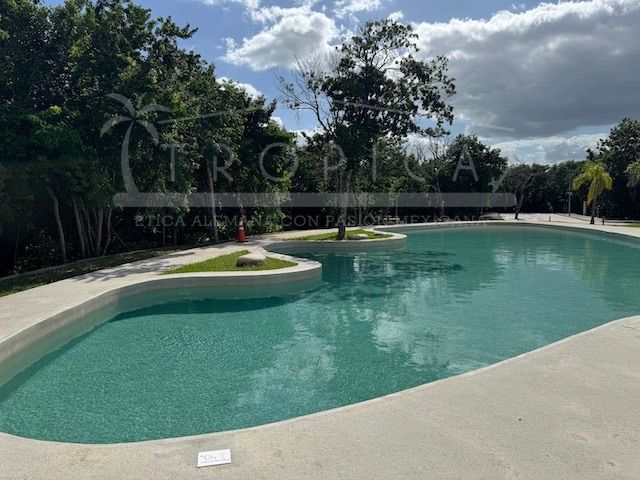 place photo 45
