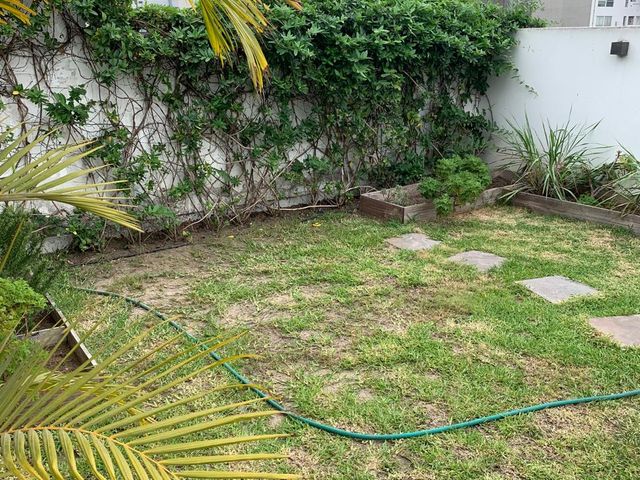 place photo 24