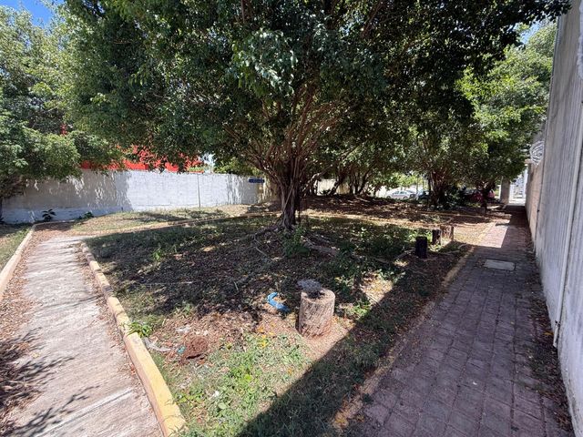 place photo 24