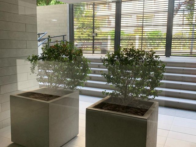 place photo 81