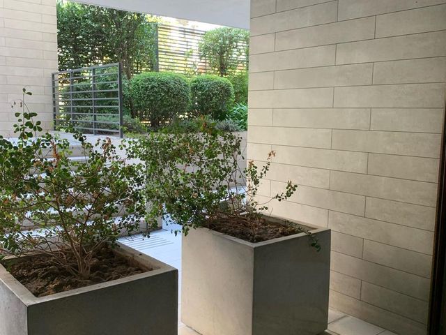 place photo 52