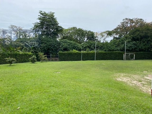 place photo 43