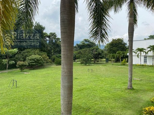 place photo 38