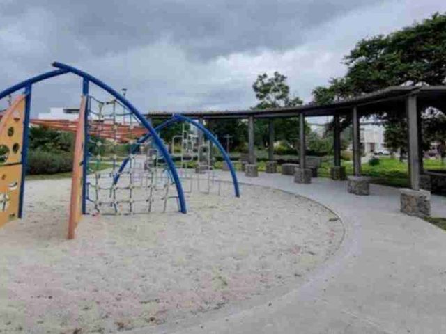 place photo 26