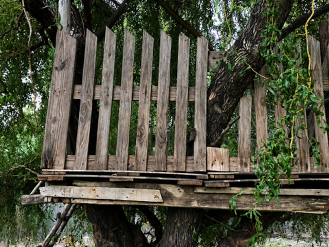 place photo 41