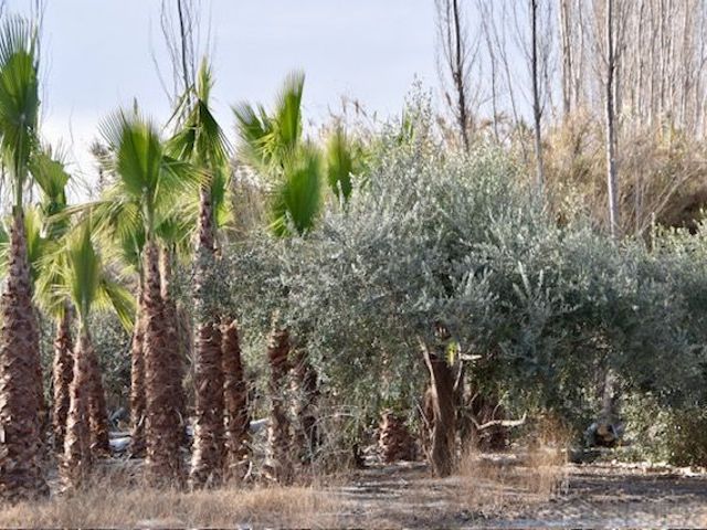 place photo 49