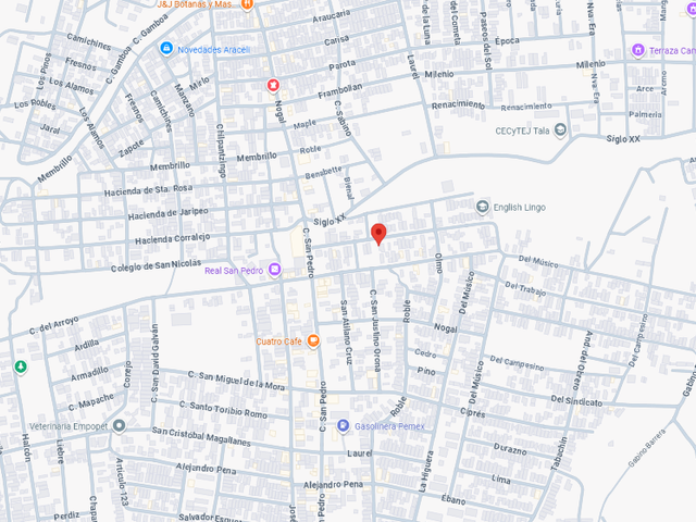 place photo 7